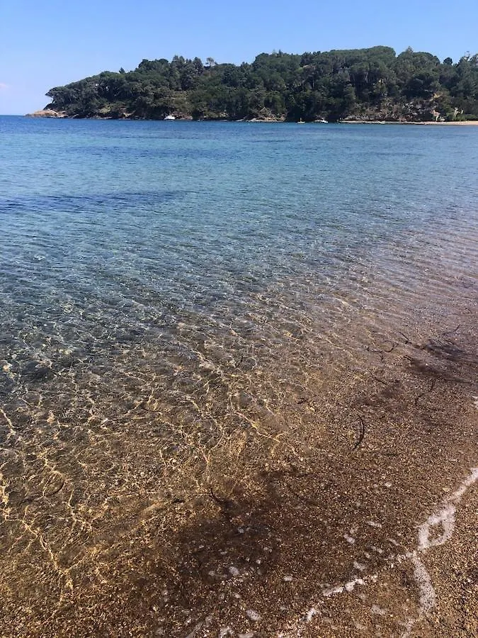 Kontakte von Appartamento A 30 Metri Dalla Spiaggia