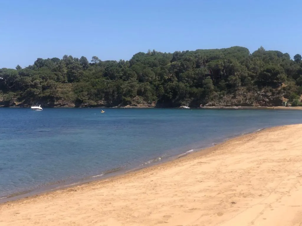 Apartment Appartamento A 30 Metri Dalla Spiaggia Porto Azzurro